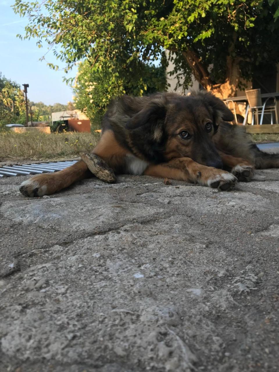 A Loghja Di Cavallo Morto Боніфачо Екстер'єр фото